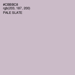 #CBBBC8 - Pale Slate Color Image