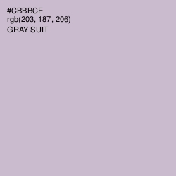 #CBBBCE - Gray Suit Color Image