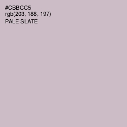 #CBBCC5 - Pale Slate Color Image