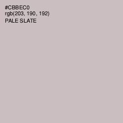 #CBBEC0 - Pale Slate Color Image