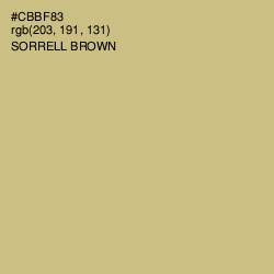 #CBBF83 - Sorrell Brown Color Image