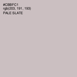 #CBBFC1 - Pale Slate Color Image