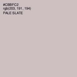 #CBBFC2 - Pale Slate Color Image