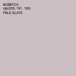 #CBBFC3 - Pale Slate Color Image