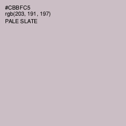 #CBBFC5 - Pale Slate Color Image