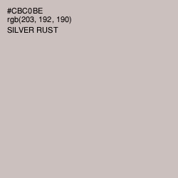 #CBC0BE - Silver Rust Color Image