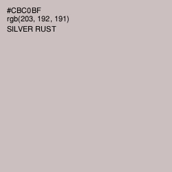 #CBC0BF - Silver Rust Color Image