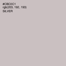 #CBC0C1 - Silver Color Image