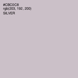 #CBC0C8 - Silver Color Image