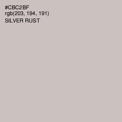 #CBC2BF - Silver Rust Color Image