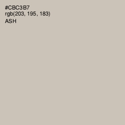 #CBC3B7 - Ash Color Image