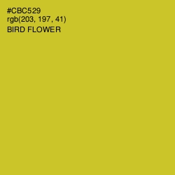 #CBC529 - Bird Flower Color Image