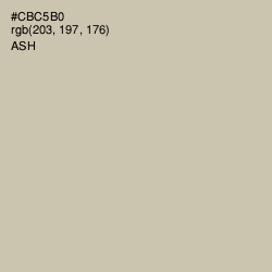 #CBC5B0 - Ash Color Image