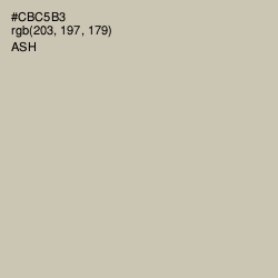 #CBC5B3 - Ash Color Image