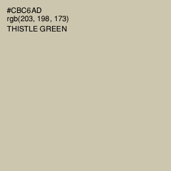 #CBC6AD - Thistle Green Color Image