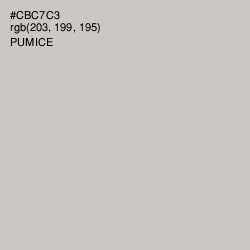 #CBC7C3 - Pumice Color Image