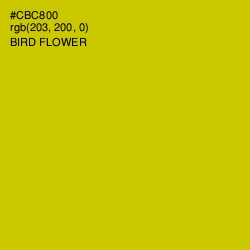 #CBC800 - Bird Flower Color Image