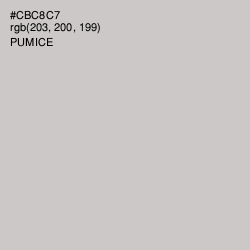 #CBC8C7 - Pumice Color Image