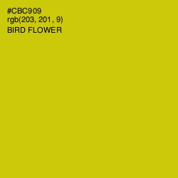 #CBC909 - Bird Flower Color Image