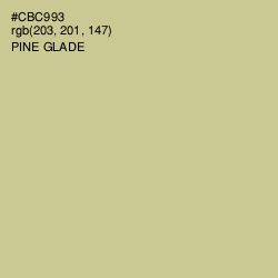 #CBC993 - Pine Glade Color Image