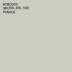 #CBCDC0 - Pumice Color Image