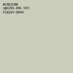 #CBCEBB - Foggy Gray Color Image