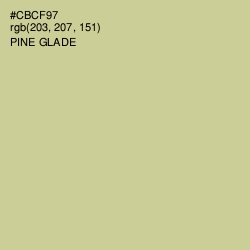 #CBCF97 - Pine Glade Color Image