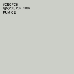 #CBCFC8 - Pumice Color Image