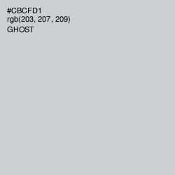 #CBCFD1 - Ghost Color Image