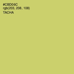 #CBD06C - Tacha Color Image