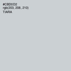 #CBD0D2 - Tiara Color Image