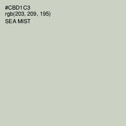 #CBD1C3 - Sea Mist Color Image