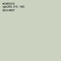 #CBD2C0 - Sea Mist Color Image
