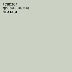 #CBD2C4 - Sea Mist Color Image