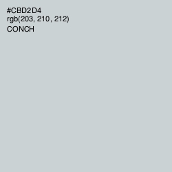 #CBD2D4 - Conch Color Image