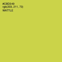 #CBD349 - Wattle Color Image