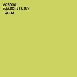 #CBD361 - Tacha Color Image
