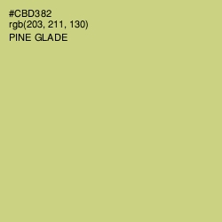 #CBD382 - Pine Glade Color Image