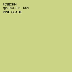 #CBD384 - Pine Glade Color Image