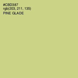 #CBD387 - Pine Glade Color Image