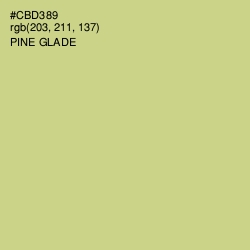 #CBD389 - Pine Glade Color Image