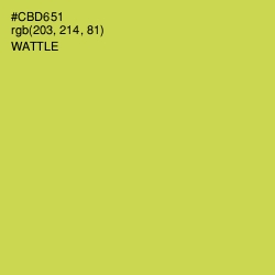 #CBD651 - Wattle Color Image
