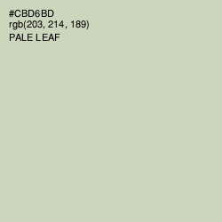 #CBD6BD - Pale Leaf Color Image