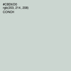 #CBD6D0 - Conch Color Image