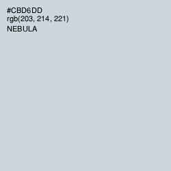#CBD6DD - Nebula Color Image