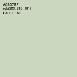 #CBD7BF - Pale Leaf Color Image