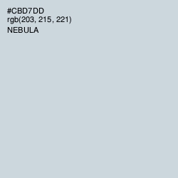 #CBD7DD - Nebula Color Image