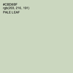 #CBD8BF - Pale Leaf Color Image