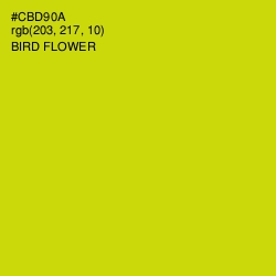 #CBD90A - Bird Flower Color Image