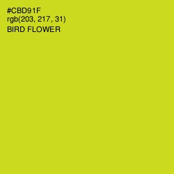 #CBD91F - Bird Flower Color Image